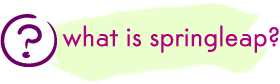 what is springleap?